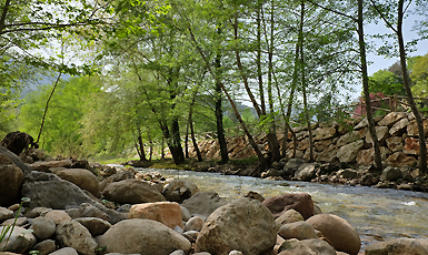 Riu La Muga - Albanyà